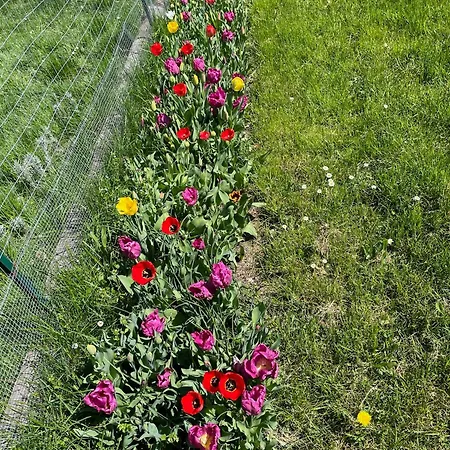 Casa Camposelvatico Valdena