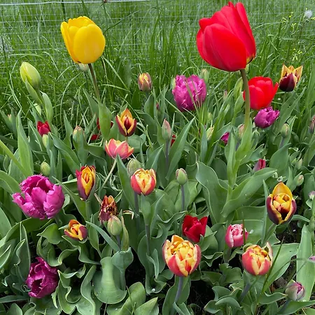 Casa Camposelvatico *