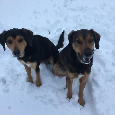 Casa Camposelvatico Valdena