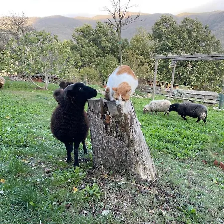 Casa Camposelvatico Casa vacanze *