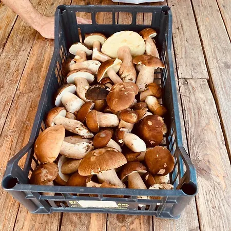 Casa Camposelvatico Casa vacanze *