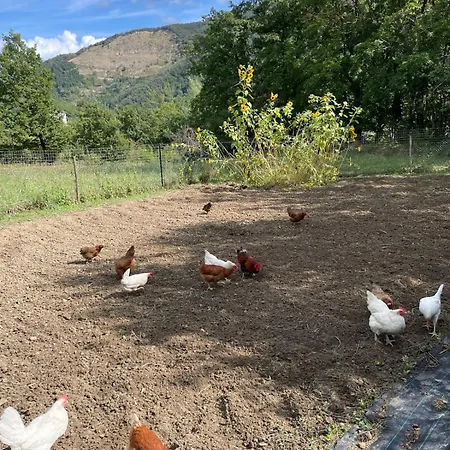 Сasa de vacaciones Casa Camposelvatico Valdena