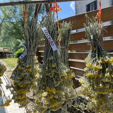 Casa Camposelvatico *