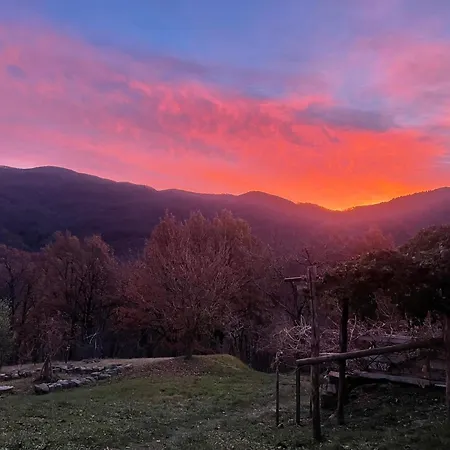 Casa Camposelvatico 펜션 Valdena