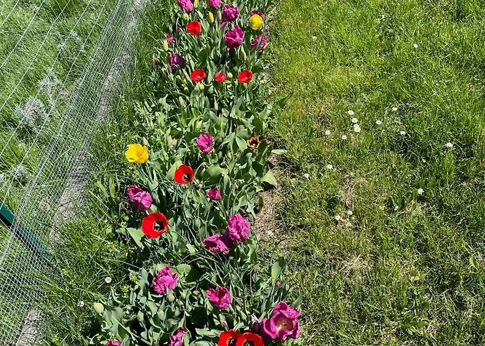 Casa Camposelvatico Valdena