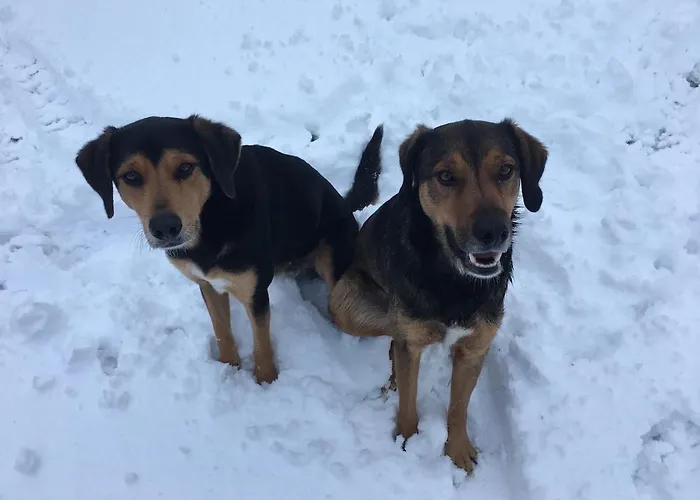 Casa Camposelvatico Valdena