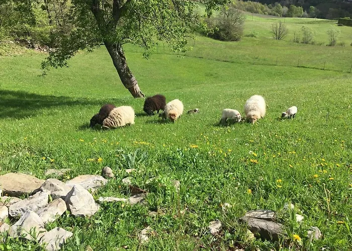 Casa Camposelvatico 펜션 Valdena