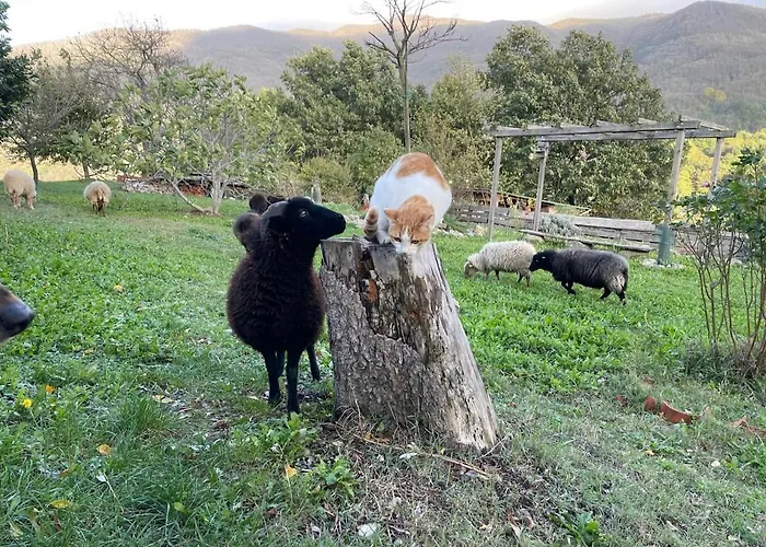 Casa Camposelvatico Дом отдыха *