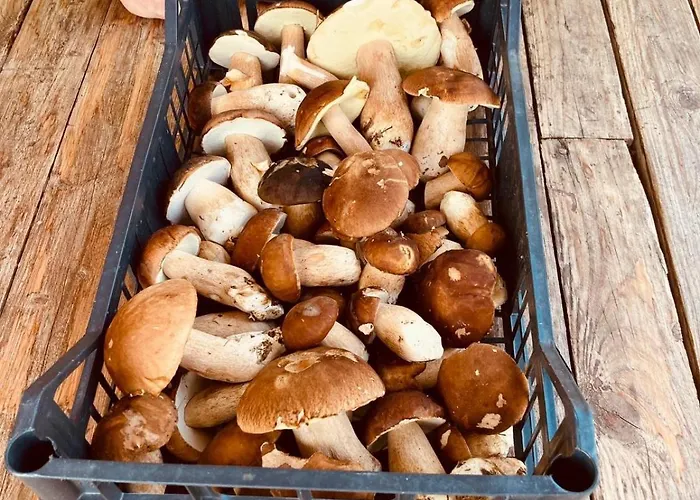 Casa Camposelvatico Дом отдыха *