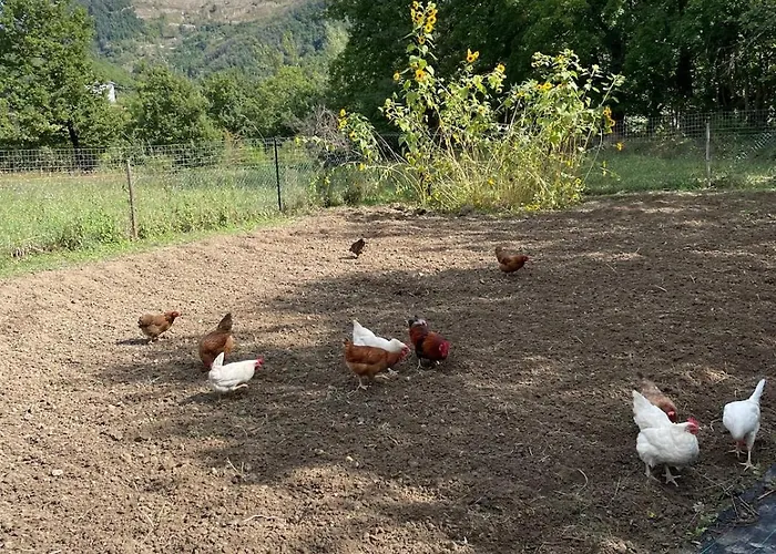 Дом отдыха Casa Camposelvatico Valdena