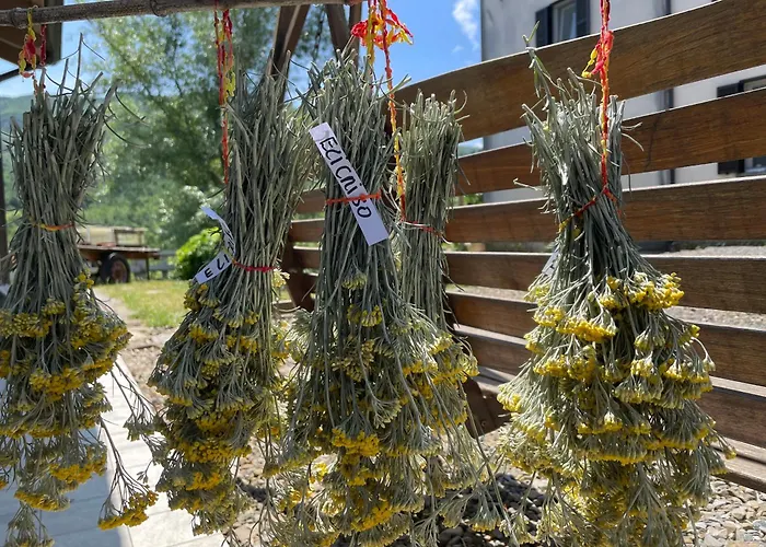 Casa Camposelvatico *