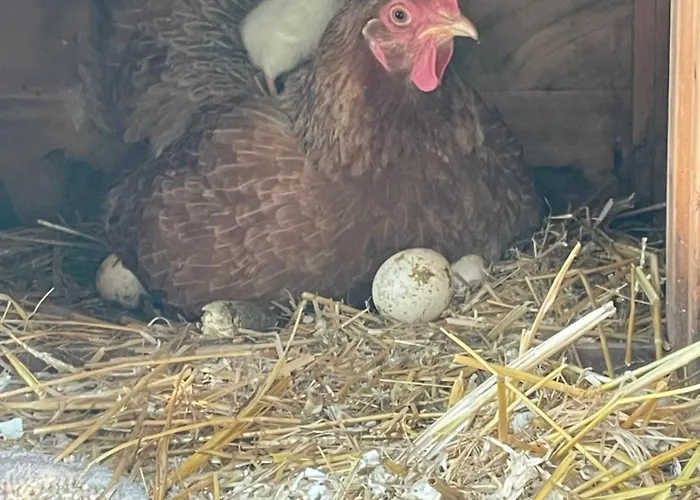 Casa Camposelvatico Дом отдыха